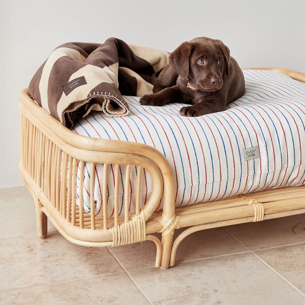 Dog bed | Byflou.com | Byflou.com