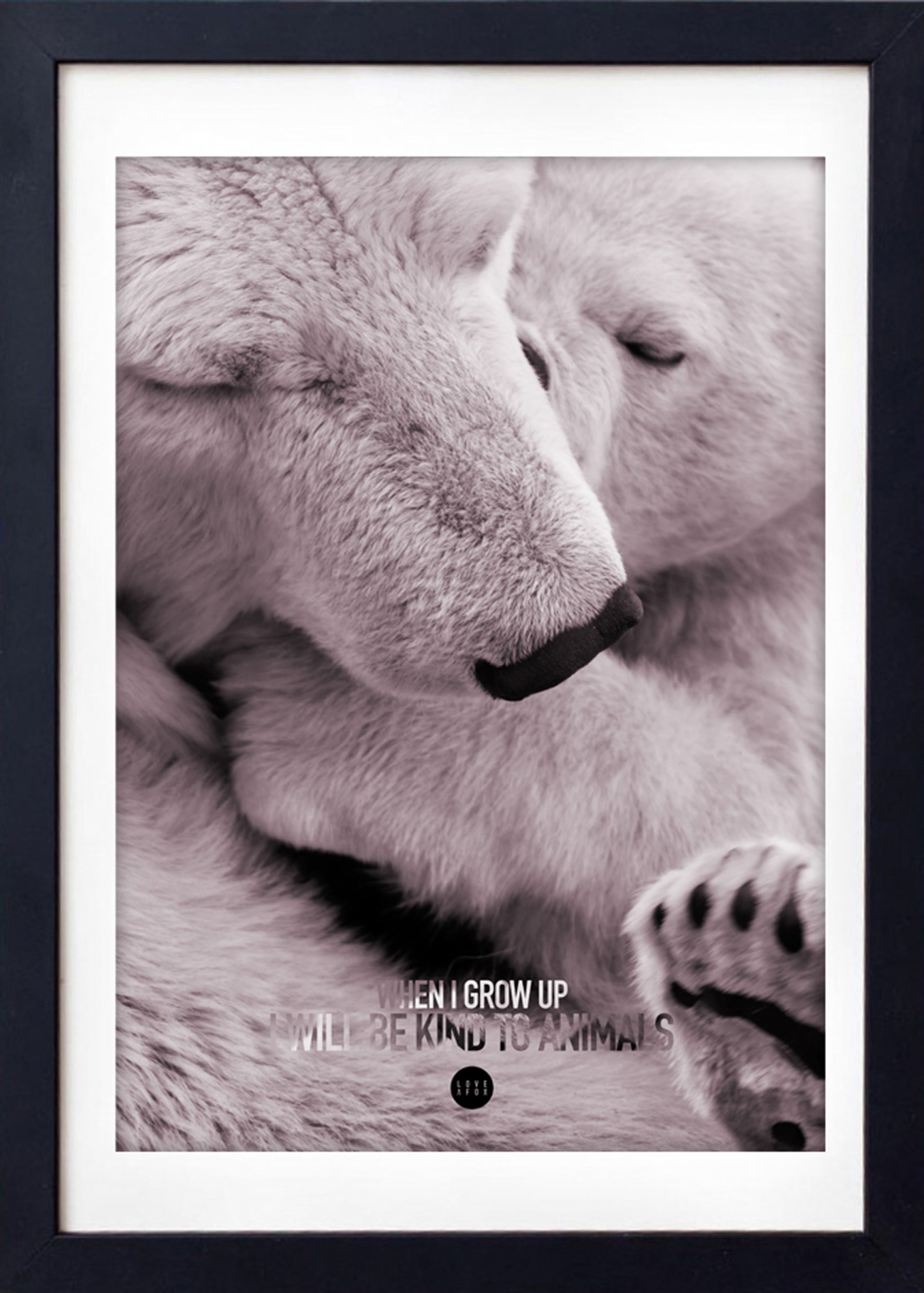 Baby Polar - Poster - A FOX