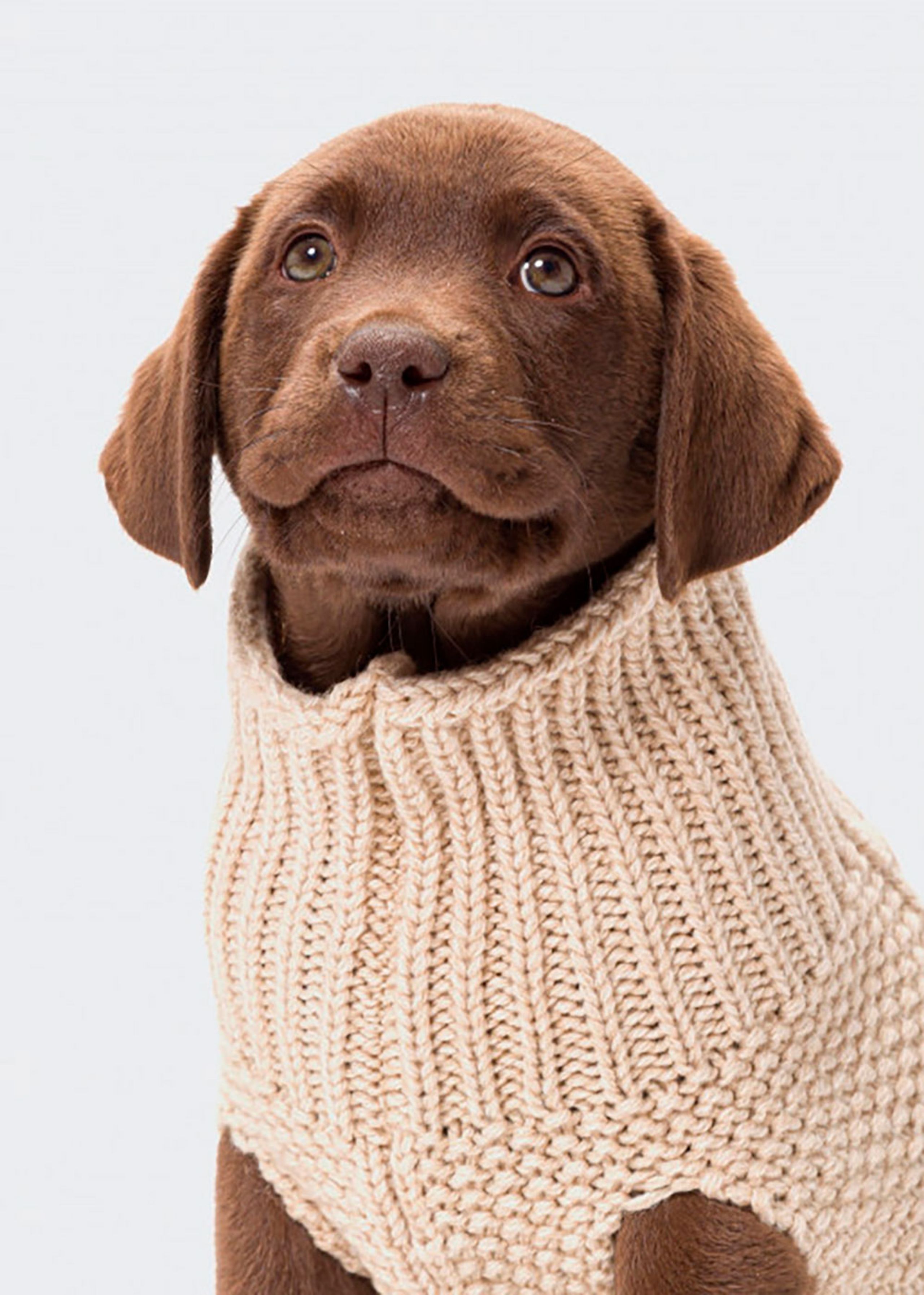 Cloud7 - Hundetøj - Dog Sweater Oslo - Beige