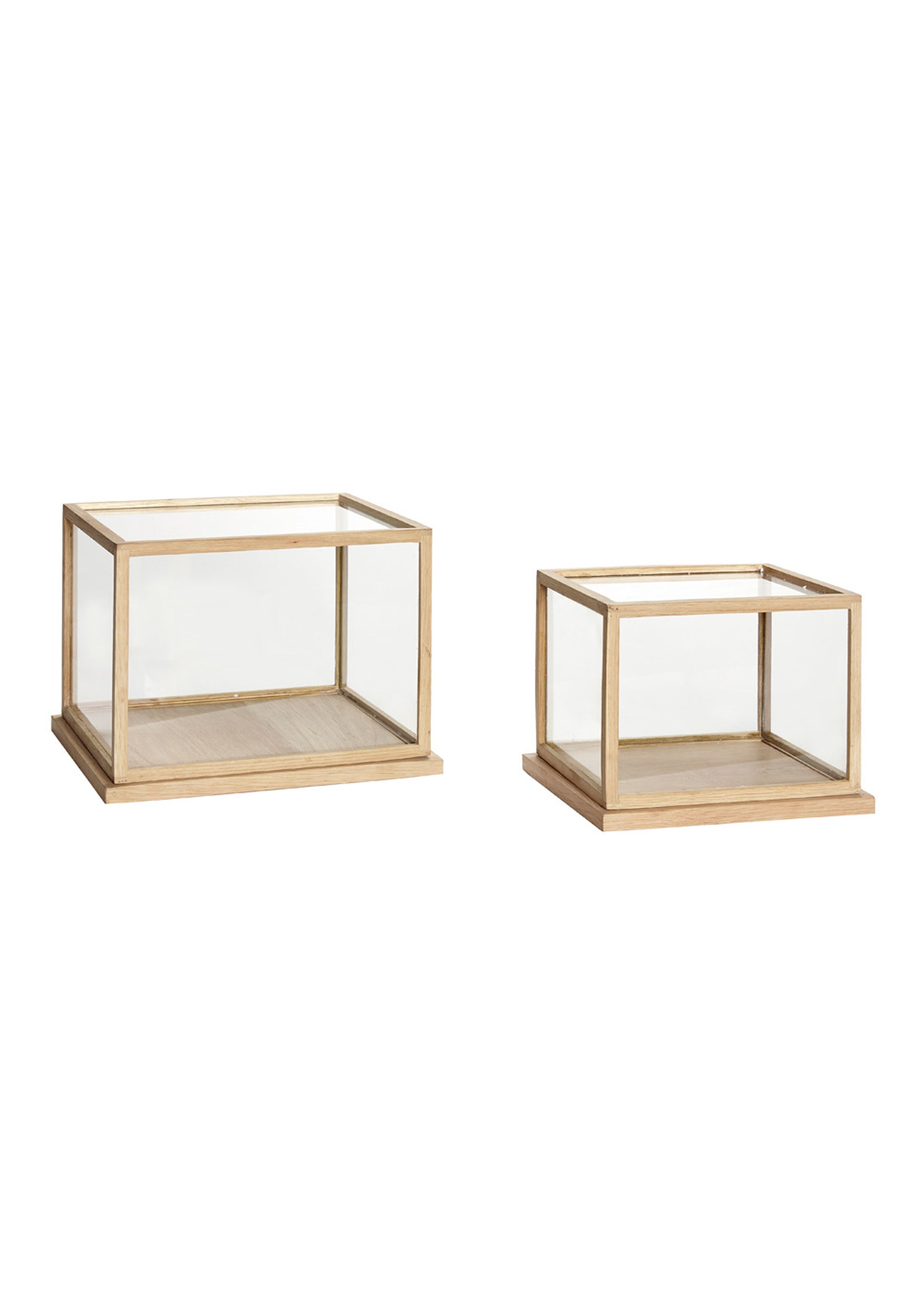 Hübsch - Boxen - Glass Display Box - Low - Oak