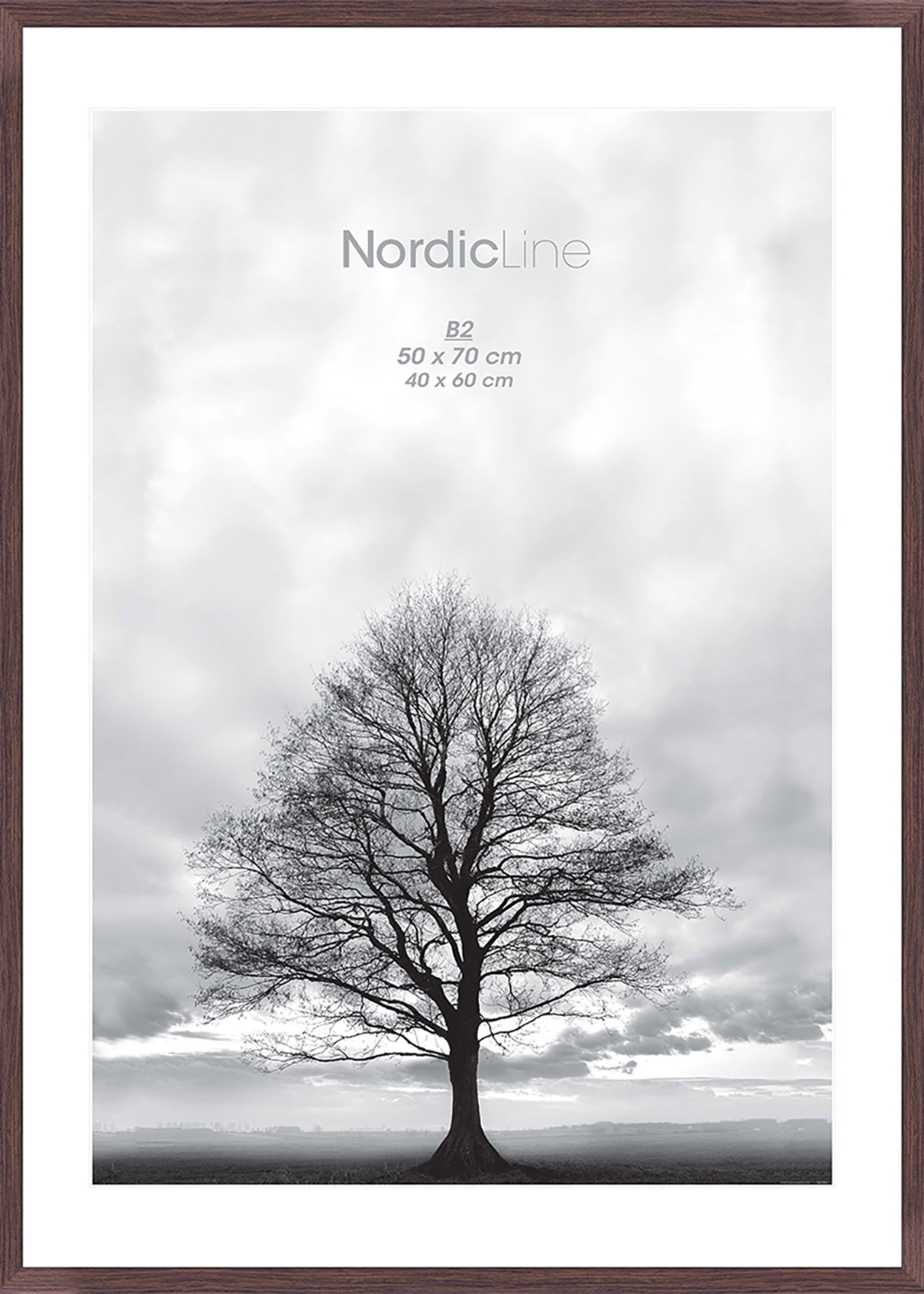 Nordic Line - Frames - Nordic Line frames - Cherry - Cherry