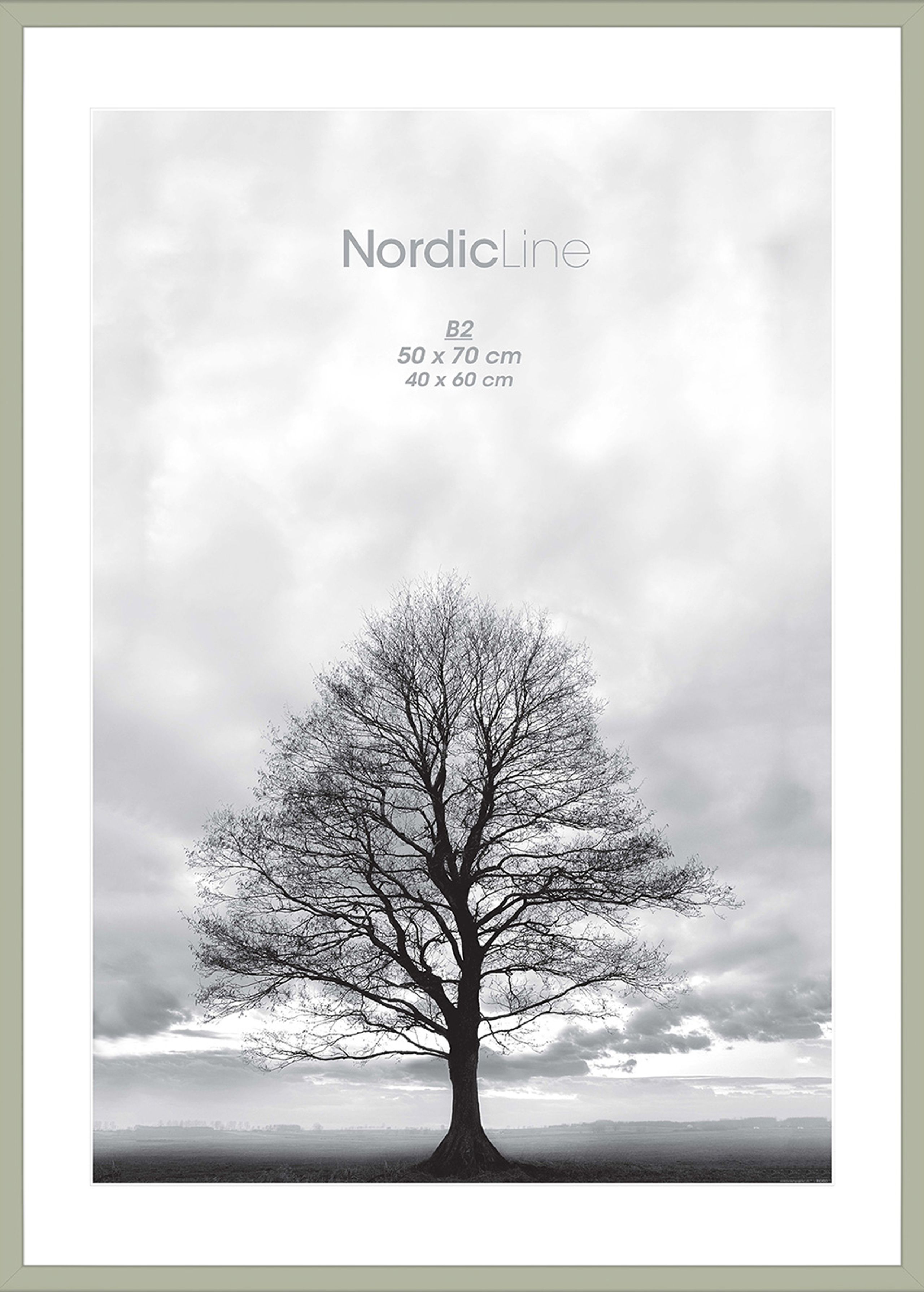 Nordic Line - Frames - Nordic Line frames - Peppermint - Peppermint