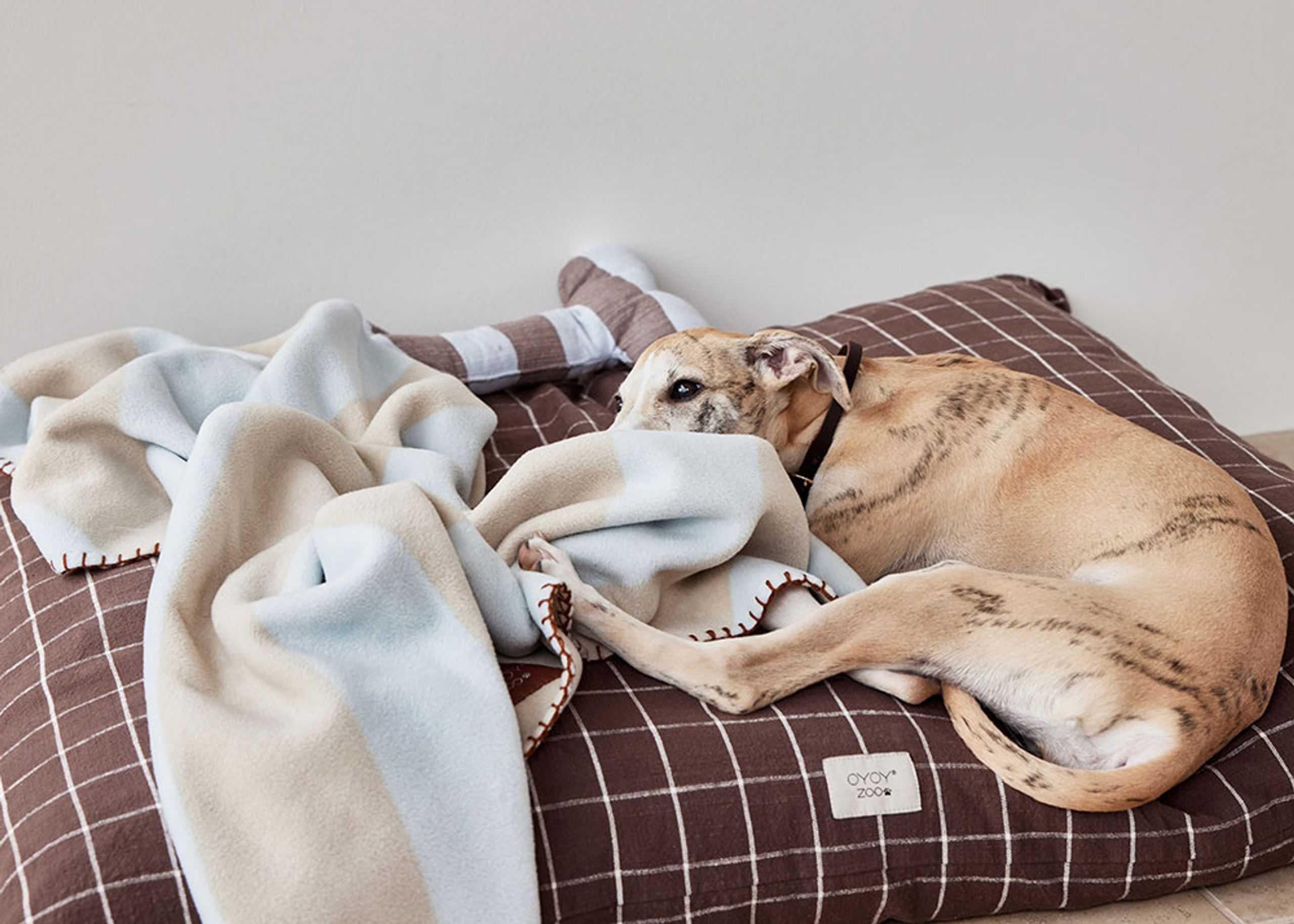 OYOY ZOO - Kaya Dog Blanket - Coperta per cani - 610 Ice Blue