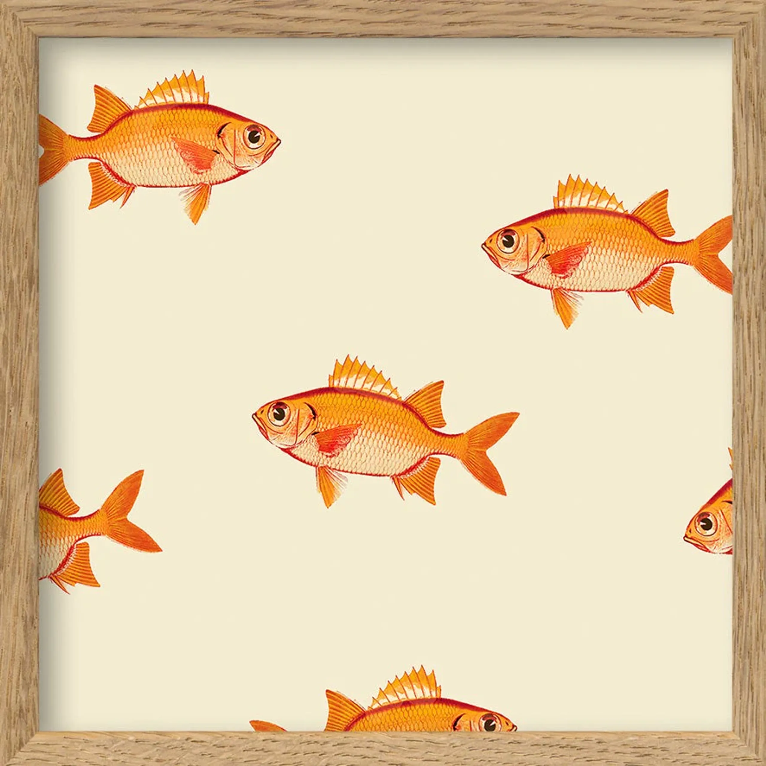 The Dybdahl Co - Poster - Small Orange Fish - Small Orange Fish