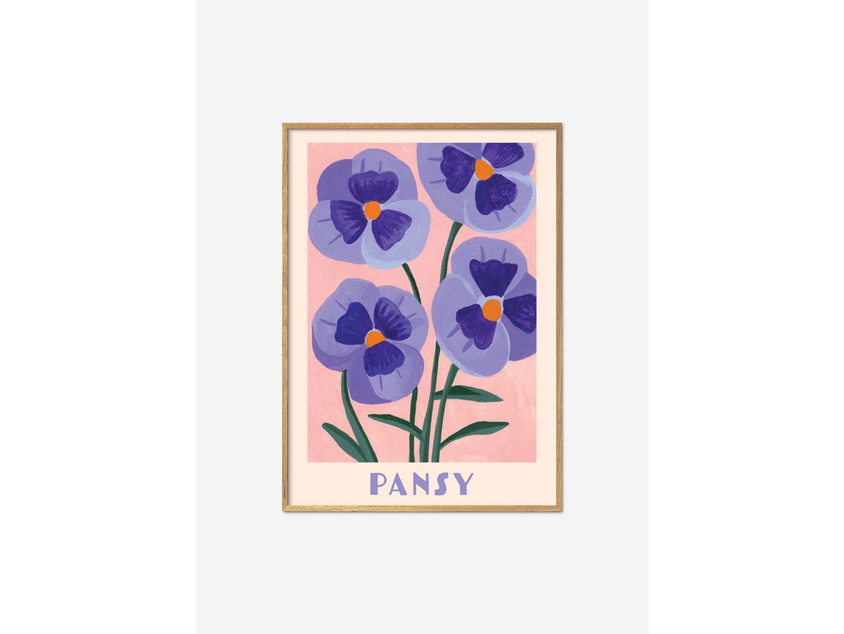 If Walls Could Talk - IGA ILLUSTRATIONS - Affisch - Pansy - 50x70