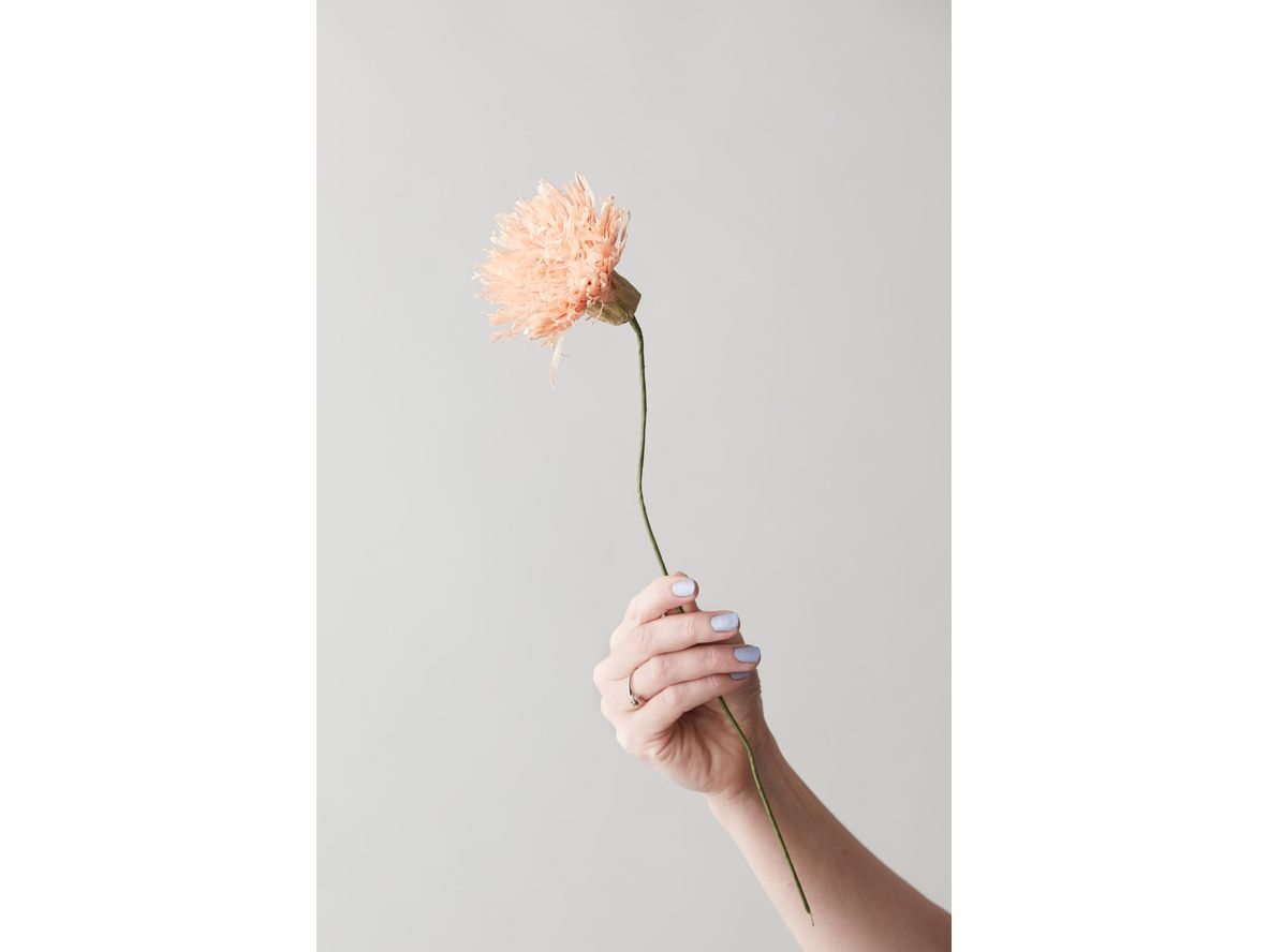 Produktfoto för Studio About - Paper Flower, Chrysanthemum - Paper Flowers - Nude - 4,2 cm