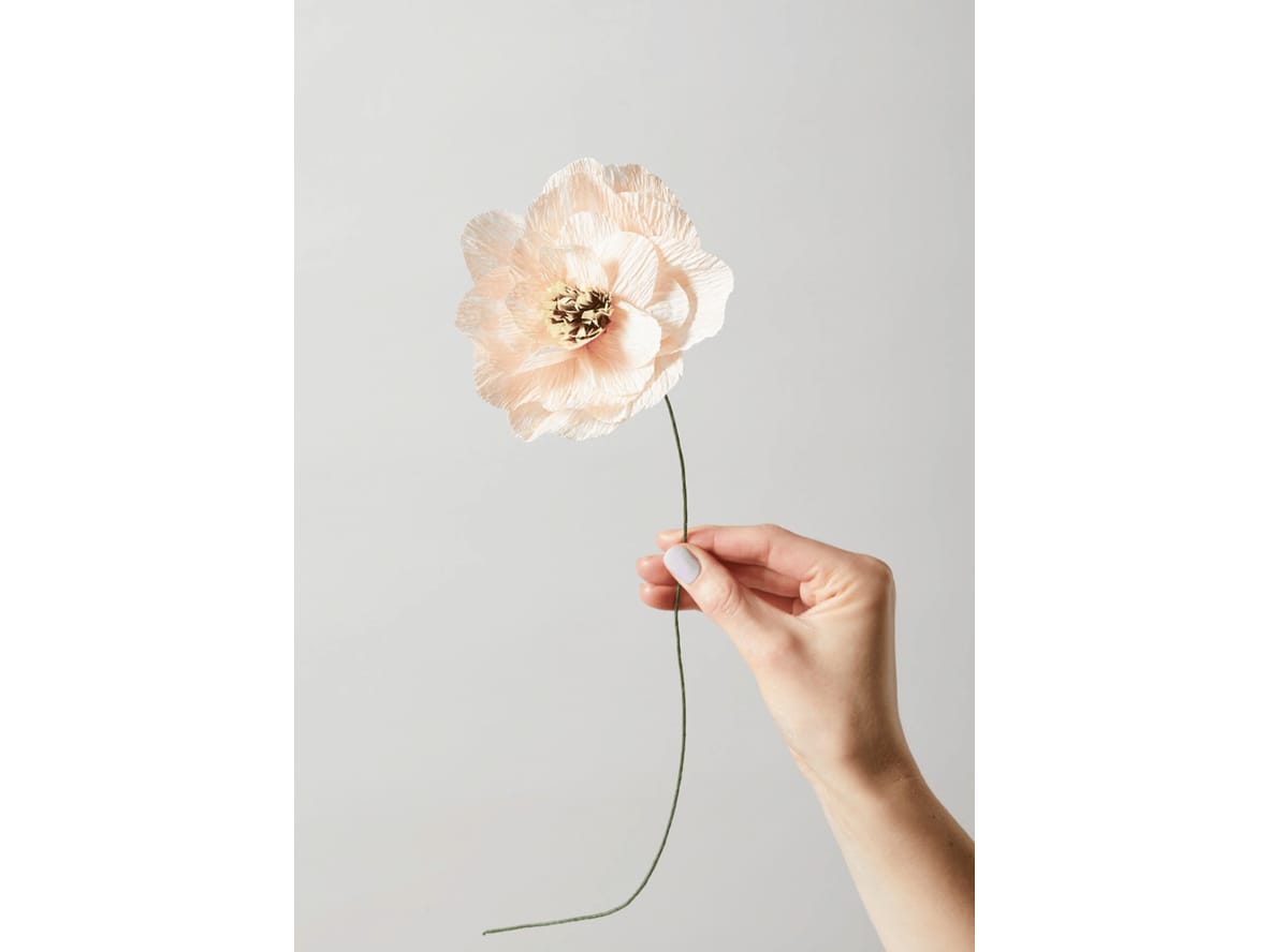 Produktfoto för Studio About - Paper Flower, Poppy - Paper Flowers - Nude - Ø 120mm