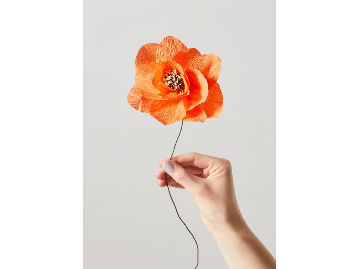 Produktfoto för Studio About - Paper Flower, Poppy - Paper Flowers - Red - Ø 120mm