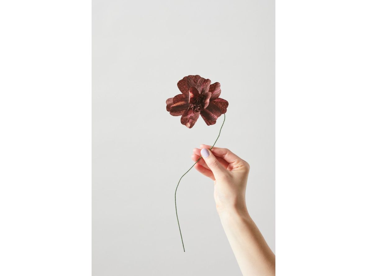 Produktfoto för Studio About - Paper Flower, Daisy - Paper Flowers - Bordeaux - 4,3 cm