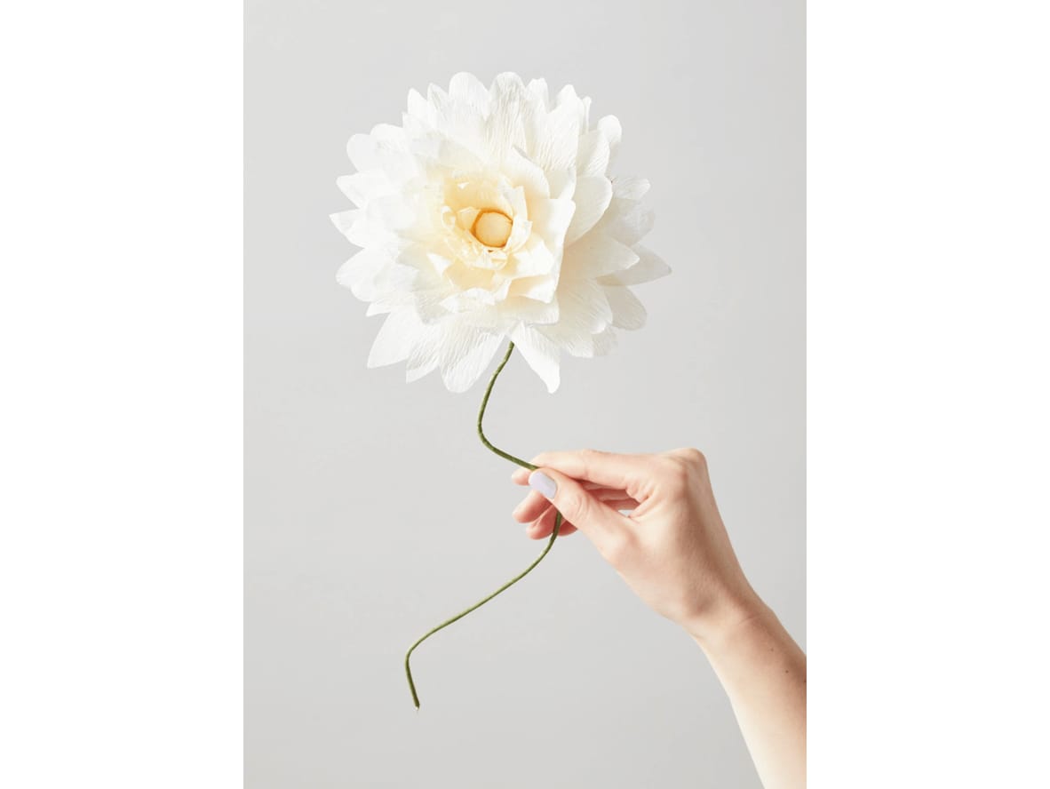 Studio About - Paper Flower, Grand Dahlia - Paper Flowers - Sand - 4,6 cm