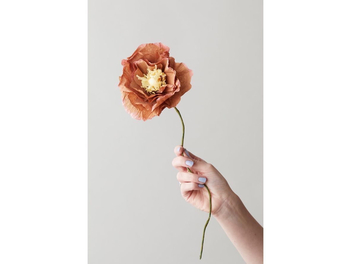 Produktfoto för Studio About - Paper Flower, Ice Poppy - Paper Flowers - Ochra - 4,4 cm