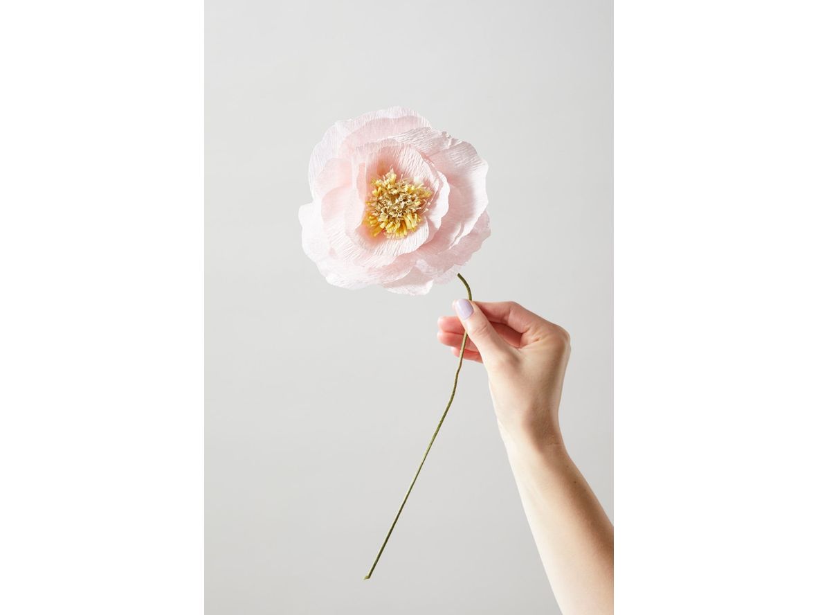 Produktfoto för Studio About - Paper Flower, Ice Poppy - Paper Flowers - Rose - 4,4 cm