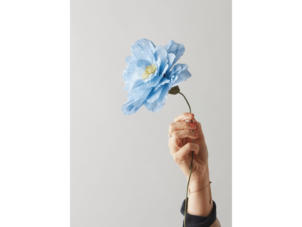 Produktfoto för Studio About - Paper Flower, Grand Peony - Paper Flowers - Aubergine - Ø 170mm