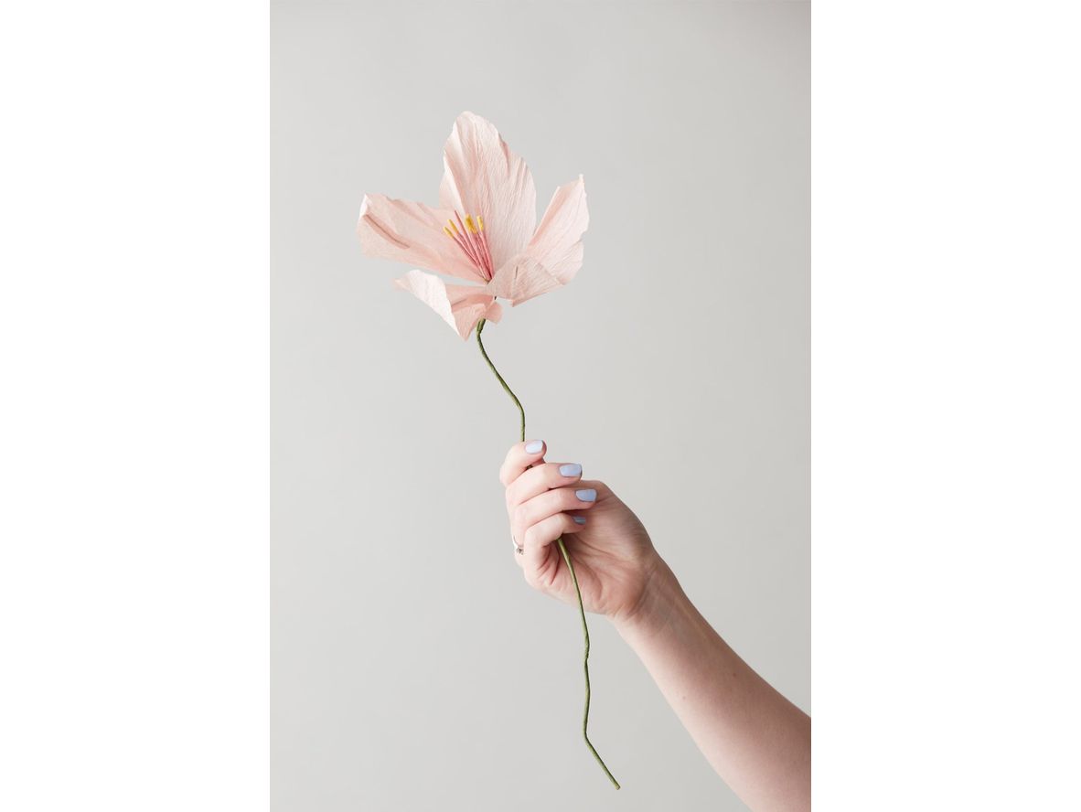 Produktfoto för Studio About - Paper Flower, Lily - Paper Flowers - Rose - 4,5 cm