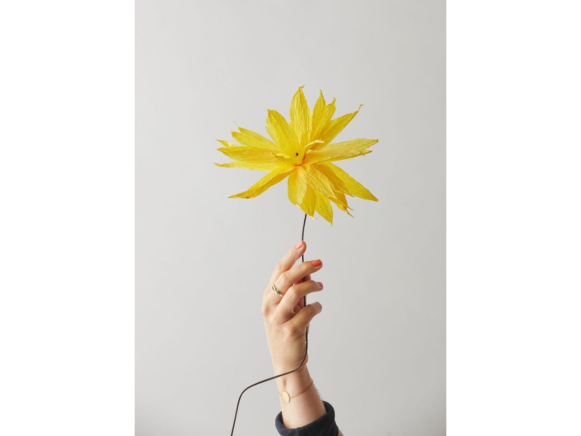 Produktfoto för Studio About - Paper Flower - Shooting Star - Paper Flowers - Yellow - One size