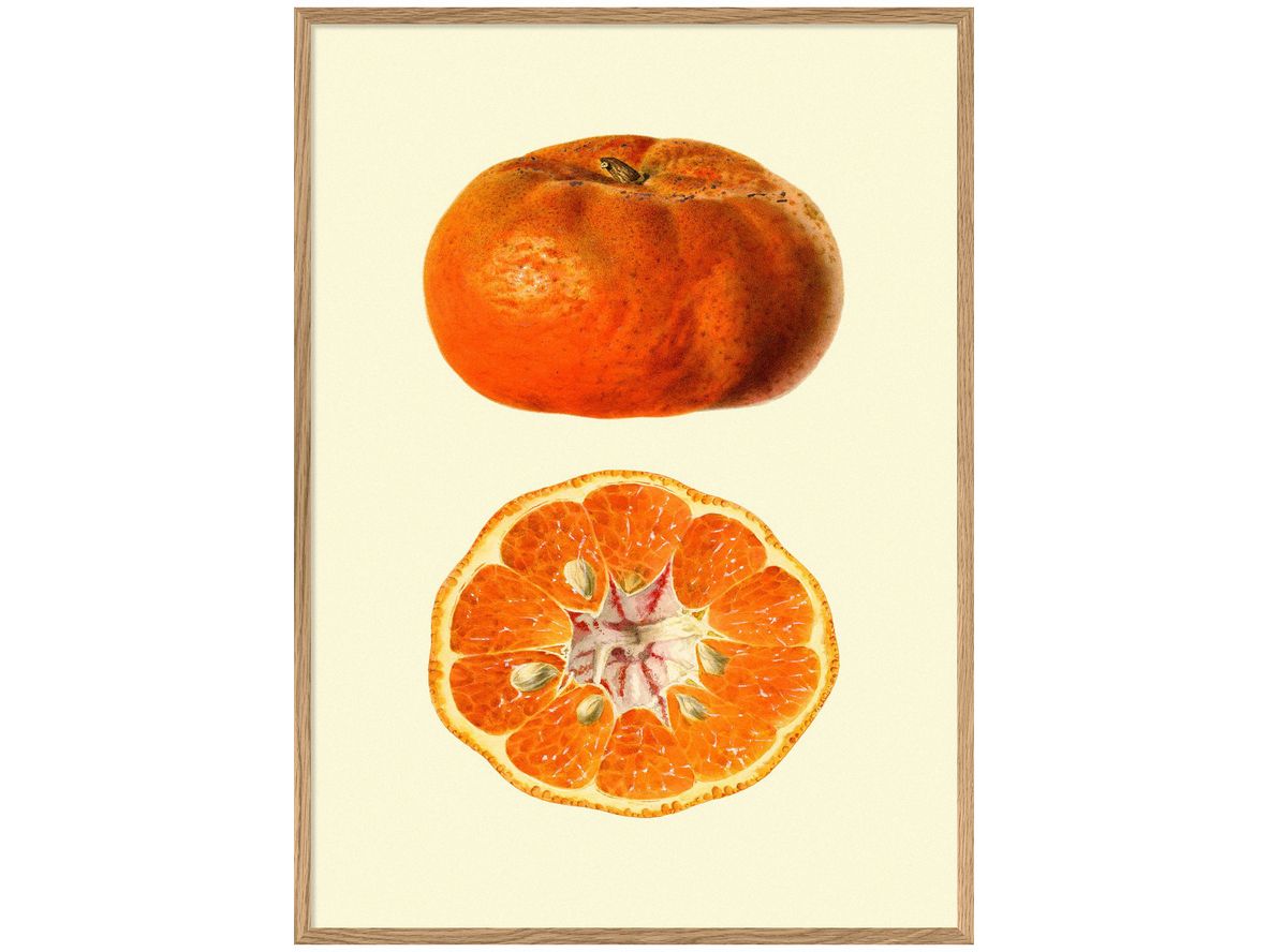 The Dybdahl Co - Mandarine open & closed #5809 - Affisch - Mandarin - 112 x 158 cm