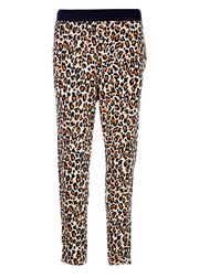 True Leopard (Sold Out)