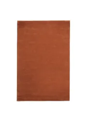 160 x 250 - Red Brown