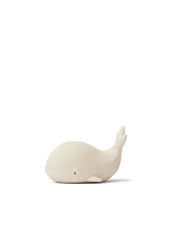 Whale sandy