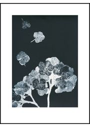 hortensia black ink print (Myyty loppuun)