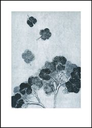 hortensia ink print (Myyty loppuun)