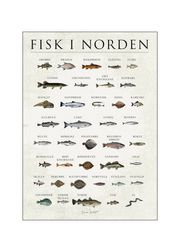 Fisk i Norden