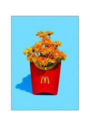 Flower fries