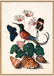 Hummingbird, Butterflies & Flowers #7003
