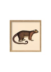 Brown Bear / Oak (Sold Out)