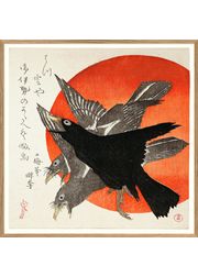 Crows #4808 (Ausverkauft)