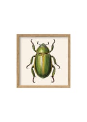 Green Insect (Sold Out)