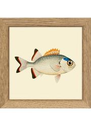 Fishes. Print #MS017 (Uitverkocht)