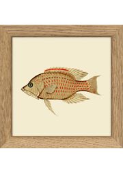 Fishes. Print #MS022 (Vendu)