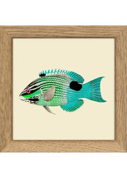 Fishes. Print #MS036 (Uitverkocht)