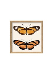 Orange Butterflies / Oak (Vendu)
