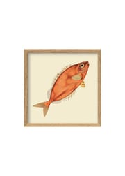 Orange Fish (Slutsålt)