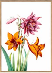 Pink and Orange Lilies (Vendu)