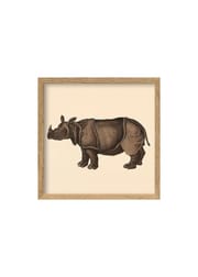 Rhino / Oak (Vendu)