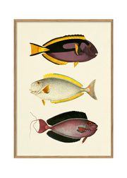 Fishes #3915P