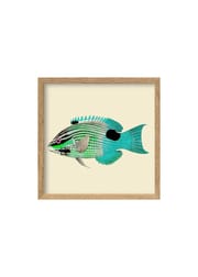 Turquoise And Neon Green Fish / Oak