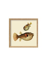 Two Big Fishes / Oak (Vendu)
