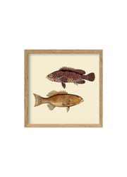 Two Flat Fish / Oak (Vendu)