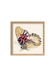 Yellow Butterfly / Oak (Vendu)