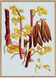 Red Brands with Yellow Flowers (Vendu)