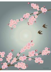 Sakura (Udsolgt)