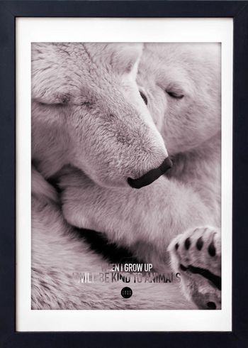 LOVE A FOX - Poster - Baby Polar Bear Colour - Pudder Nuancer