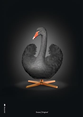 Brainchild - Poster - Classic poster - black swan - No frame