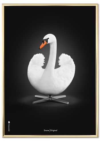 BrainChild - Poster - Klassisk – Sort baggrund – Hvid svane - Messingfarvet ramme