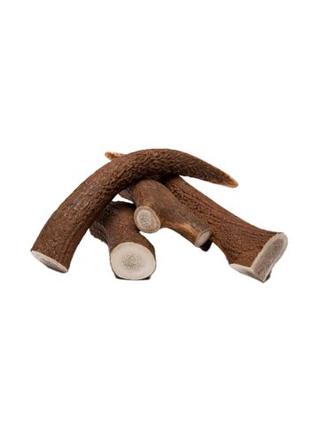Cloud7 - Chifres de veado - Natural Chewing Rod - Natural Chewing Rod