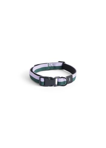 HAY - Dog collars - Hay Dogs Collar Flat - Lavender, green